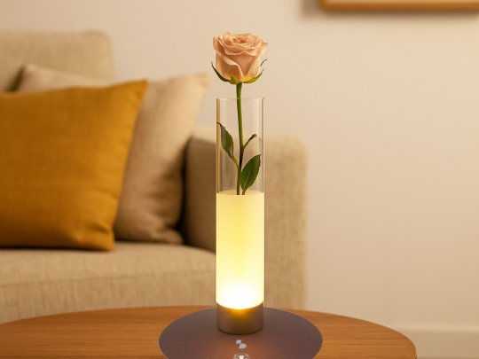 Lampada da tavolo ricaricabile FLORA