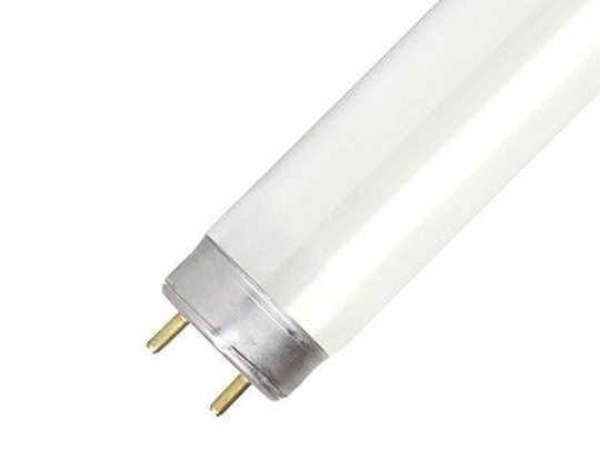 Tubo neon 20w